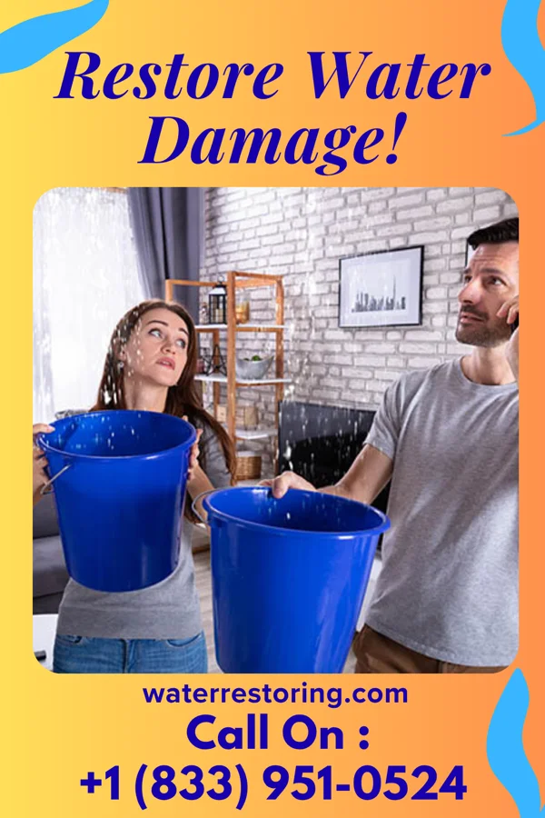 water restoration First Water Restoration Inc Bartonsville