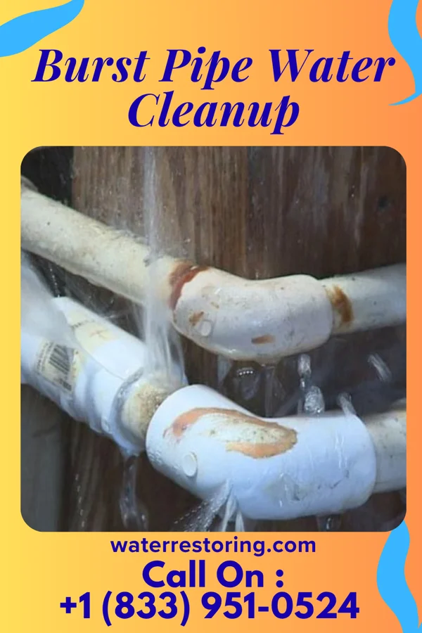 Burst Pipe Water Cleanup in Bartonsville, MD