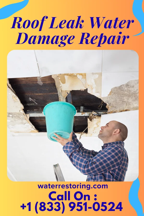 Roof Leak Water Damage Repair in Bartonsville, MD